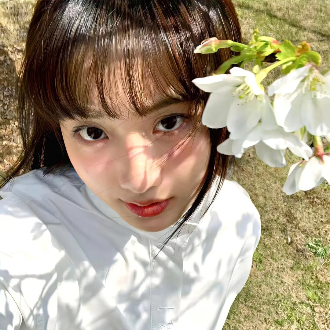 霸拳